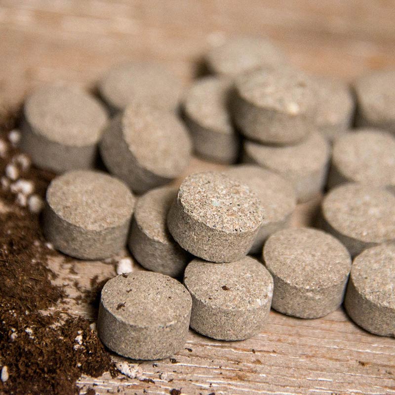 一闻就睡的最强药